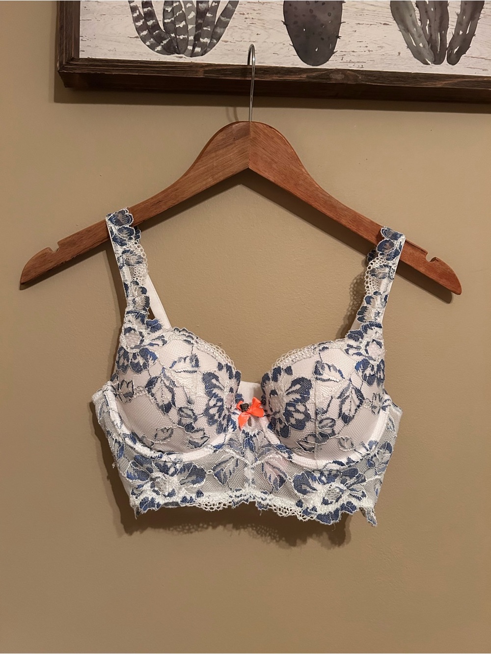 Victoria's Secret White Lace Longline Bra with Blue Floral Embroidery